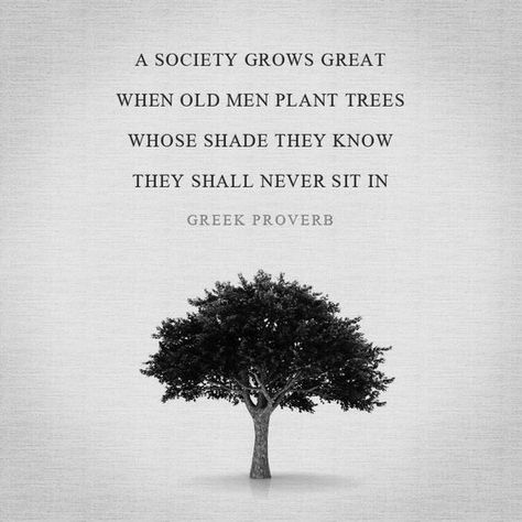 “Society grows great when old men plant trees whose shade they know they shall never sit in.”   ― Anonymous Greek Proverb Shade Quotes, Quotes Greek, Greek Philosophy, Tree Quotes, Truth Ideas, Plants Quotes, Small Minds, Greek Quotes, Trendy Quotes