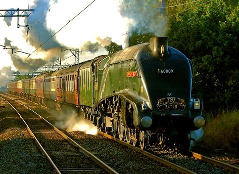 Union Of South Africa, Csx Trains, Steam Train, Steam Trains, Steam Locomotive, South Africa, Steam, England, Train