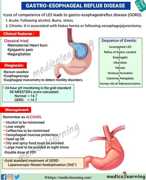 Gastro-Esophageal Reflux Disease | Nursing school motivation, Medical ultrasound, Medical radiography Nursing Facts, Medical Radiography, Nursing Flashcards, Medical Ultrasound, Medical Mnemonics, Bells Palsy, Nursing Assessment, Nursing School Essential, Gastrointestinal Disease