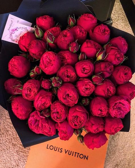 Luxury Inspiration, Around The World, Roses, Louis Vuitton, Flowers, Red, On Instagram, Instagram