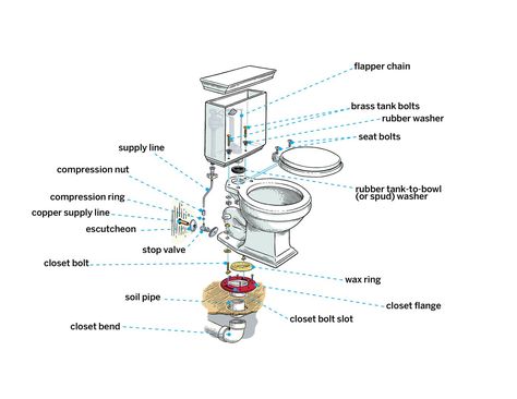 How to Install a Toilet in 8 Steps - This Old House Replace Bathroom Sink, Bathroom Sink Plumbing, Basement Toilet, Toilet Plumbing, Plumbing Rough In, House Plumbing, Residential Plumbing, Toilet Repair, Toilet Installation