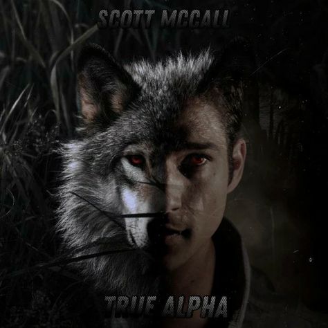 Scott Mccall Werewolf, Teen Wolf Werewolf, True Alpha, Alpha Werewolf, Teen Wolf Scott, Teen Wolf Dylan, Scott Mccall, Art Drawings Sketches Creative, Wolf Pack