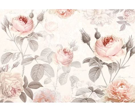 Brewster Home Fashions Komar La Maison Wall Mural & Reviews | Wayfair Flower Mural, Mural Floral, French Decor, Vintage Farmhouse, Marie Antoinette, Photo Wallpaper, Wallpaper Roll, Floral Wall, Of Wallpaper