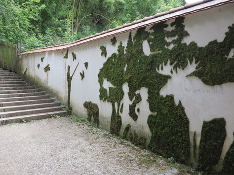 How To: Grow Moss on Concrete! You could do this indoors with a concrete object or panel as long as you use a waterproof sealer then glue a layer of cork on any part that would touch another surface, like a wall or table top. Moss Grafitti, Moss Graffiti, Moss Paint, Guerrilla Gardening, Growing Moss, Vertical Farming, Moss Garden, Moss Art, Moss Wall