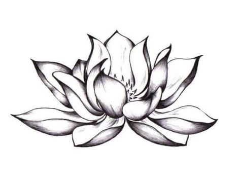 Tattoo Stencil Designs, Lotusblume Tattoo, Lotus Flower Drawing, Water Lily Tattoos, Lotus Flower Tattoo Design, Lotus Tattoo Design, Flower Tattoo Drawings, Lotus Flower Art, Lotus Flower Design