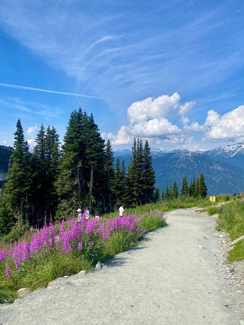 Whistler in summer 🌲🐻 Whistler Aesthetic Summer, Whistler Aesthetic, Whistler Canada Summer, Canada In Summer, Whistler Summer, Summer In Canada, Vancouver Summer, Canadian Summer, Whistler Mountain