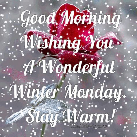 Good Morning Winter, Happy Monday Quotes, Morning Winter, Monday (quotes), Quotes Good Morning, Good Morning Happy Monday, Monday Humor, Weekday Quotes, Funny Good Morning Quotes