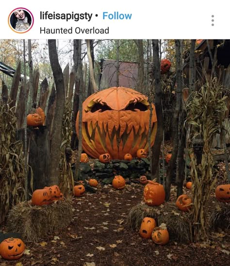 Pumpkin Patch Haunted Hayride, Giant Pumpkin, Casa Halloween, The Creeper, Scary Pumpkin, Halloween Yard, Cabin In The Woods, Theme Halloween, Halloween 2019