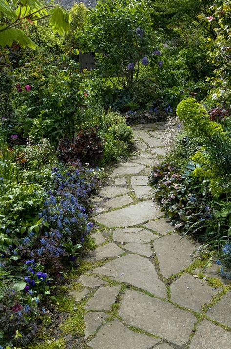 flagstone path with moss.. and beautiful landscaping :) Rustic Pathways, Rock Pathway, Flagstone Pathway, Stepping Stone Paths, Flagstone Path, Walkway Landscaping, Pathway Landscaping, Walkways Paths, Flagstone Patio