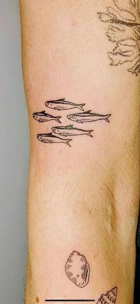 Sardine Tattoo, South Korean Tattoo, Korean Tattoo, 50 Tattoo, Korean Tattoo Artist, Funky Tattoos, Handpoke Tattoo, Fish Tattoo, Time Tattoos