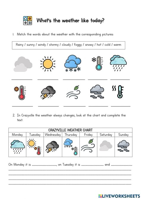 2nd Grade Reading Worksheets, Weather Like Today, Teaching Weather, Weather Worksheets, Weather Vocabulary, Teacher Motivation, Vocabulary Exercises, Seasons Months, English Activities For Kids