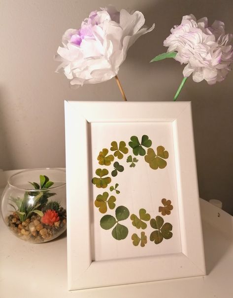 Four Leaf Clover Drawing, Clover Drawing, Pressed Flowers Diy, Press Flowers, Drying Flowers, Flower Candles, Floral Alphabet, Clover Flower, Flower Candle