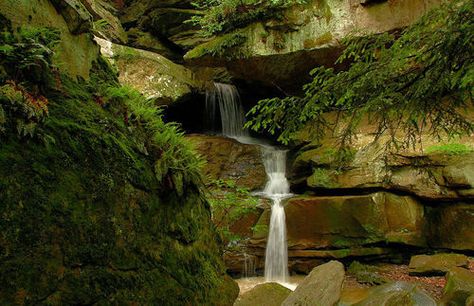 Photos of McConnells Mill State Park Trails - Pennsylvania | AllTrails Allegheny National Forest, Gorges State Park, Falling Waters, Dubai Skyscraper, Forest And Wildlife, Summer Hike, The Gorge, Rock Creek, Park Trails