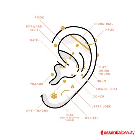 Ear Piercing Spots, Mismatched Jewelry, Ear Piercings Industrial, Anti Tragus, Piercing Chart, Ear Piercings Chart, Gorgeous Tattoos, Piercing Studio, Beauty Marketing