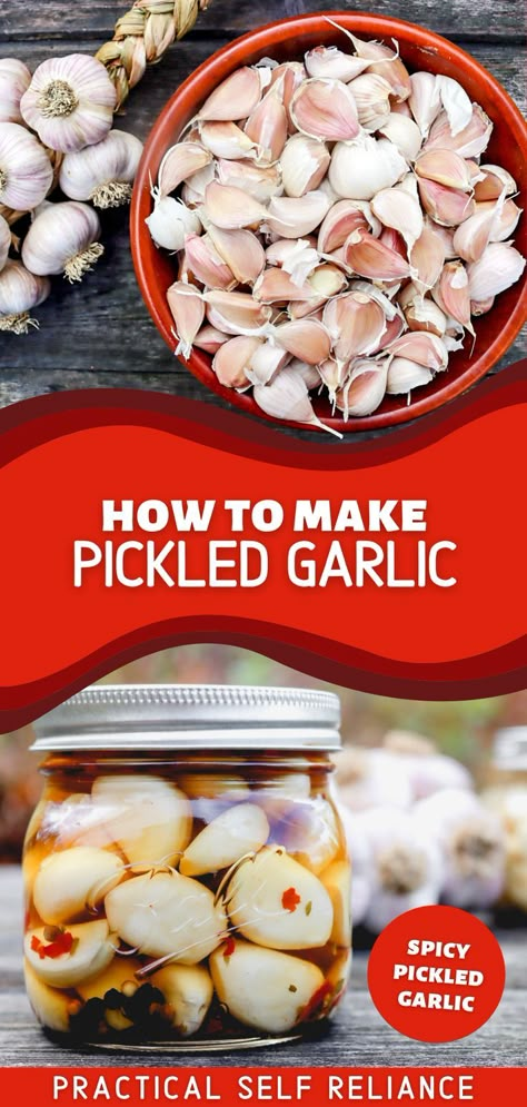 A mason jar with pickled garlic cloves canning and a bowl of unpeeled fresh garlic cloves Pickled Garlic Recipes, Pickled Garlic Cloves, Spicy Pickled Garlic, Preserving Garlic, Recipes For Canning, Garlic Growing, Pickle Recipes Homemade, Pressure Canning Recipes, Canning Pickles