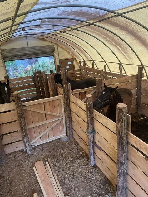 Outdoor Stalls For Horses, Outdoor Horse Stall Ideas, Horse Stall Ideas Cheap, Barn Stall Ideas, Small Horse Barn Ideas Layout, Horse Feeder Diy, Diy Horse Shelter, Mini Stables, Horse Run In Shelter