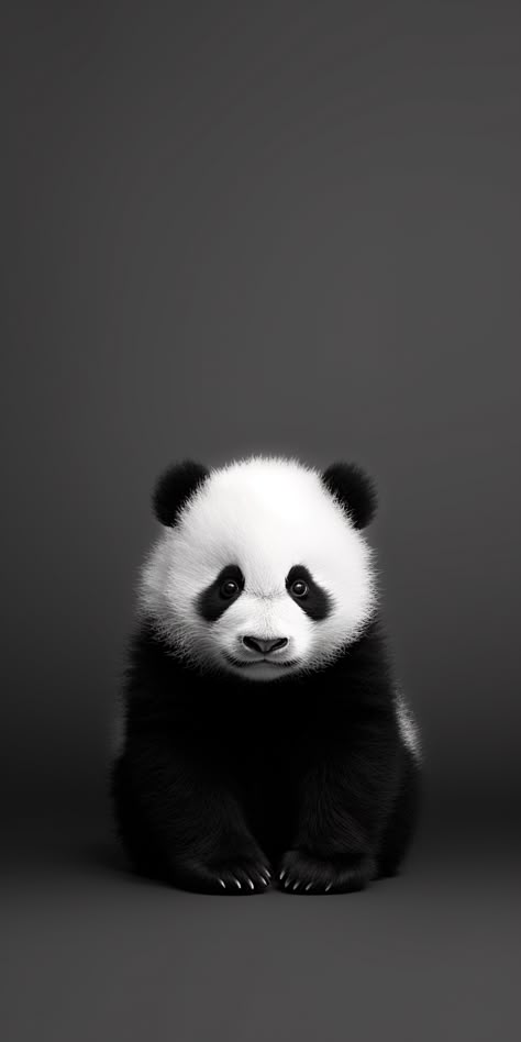 Wallpaper For Ipad Aesthetic Hd, Aesthetic Panda Wallpaper, Panda Wallpaper Cute Black, Panda Phone Wallpaper, Black And White Iphone Wallpaper, Iphone Wallpaper Scenery, White Iphone Wallpaper, Panda Black And White, Panda Wallpaper Iphone