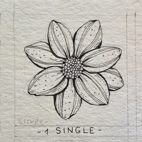 Alice på Instagram: "▫️9 Dahlias▫️ . . Today I wanted to learn something more about Dahlias: One flower and 9 different shapes 🖤 . Slide to see a video for…" Simple Flower Drawing, Botanical Line Drawing, Flower Drawing Tutorials, Sketching Ideas, Drawing Flowers, One Flower, Floral Drawing, Botanical Drawings, Tiny Flowers