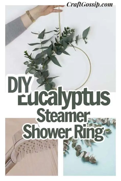 Eucalyptus Diy, Shower Rings, Soap Making Recipes, Dried Eucalyptus, Eucalyptus Leaf, Unique Shower, Diy Shower, Body Butters, Shower Steamers