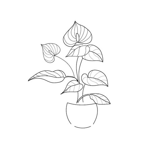 Premium Vector | Vector art illustration drawing line home plant anthurium House Plants Drawing, Anthurium Drawing, Anthurium Tattoo, Easy Flower Drawings, Flower Journal, Coffee Tattoo, Anthurium Flower, Cactus Drawing, Coffee Tattoos