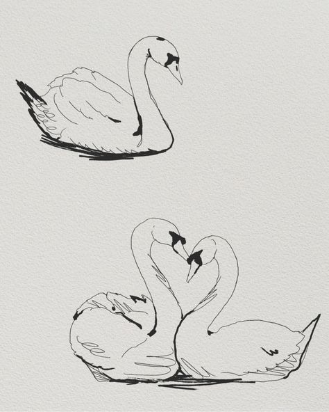 Here’s some swans available to be tattooed. Would be down to do more drawings in this style. September books open :) I’m planning to be out of town the 19-29th so limited availability! . . . #sandiego #sandiegotattoo #sandiegotattoos #sandiegotattooshop #sandiegotattooartists #sandiegotattooer #sandiegotattooart #sandiegotattooartist How To Draw Swan, Two Swans Drawing, Swans Drawing, Swan Sketch, Black Swan Tattoo, September Books, Swan Illustration, Pair Tattoos, Swan Drawing