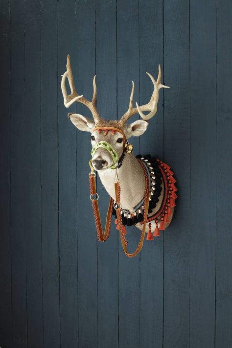 Deer Head Decor Christmas, Dear Head Decor, Decorating With Deer Mounts, Deer Mount Decor, Christmas Deer Decorations, Deer Head Decor, Taxidermy Deer, Deer Mounts, Garden Magazine