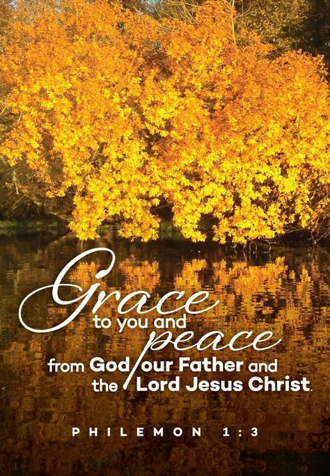 Winter Scripture, Autumn Scripture, Fall Scripture, Warrior Princess Quotes, God Our Father, Grace And Peace, Bible Verse Background, Good Morning Sweetheart Quotes, Bible Quotes Images