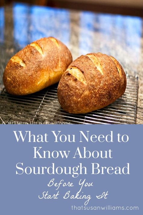 Here's everything I wish someone had explained to me before I began the rewarding process of learning to bake excellent sourdough bread. Sourdough Bread: The Deflating Truth What You Need to Know About Sourdough Bread Before You Begin Baking It. #bread #sourdoughbread #sourdoughbreadrecipe #breadtutorial #sourdoughbreadtutorial Score Sourdough Bread, Score Sourdough, Scoring Sourdough, Easy Sourdough Bread Recipe, Bread Scoring, Bread Lame, Homemade Sourdough Bread, Baking Bread Recipes, Bread Baker