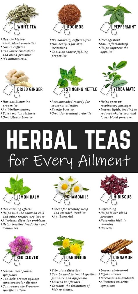 Herbs And Their Uses, Types Of Teas, Books And Tea, Easy Green Smoothie, Magia Das Ervas, Clean Eating Challenge, Stinging Nettle, Coconut Health Benefits, Herbal Recipes