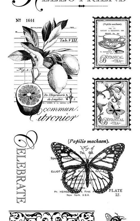 Calendar Graphic, Botanical Tea, Free Vintage Printables, Images Vintage, Digi Stamps, Graphic 45, Yandex Disk, Vintage Printables, Vintage Labels