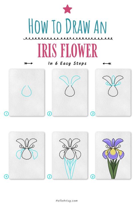 6 drawings demonstrating how to draw a how to draw an iris flower for kids. Draw Flowers Step By Step Easy, How To Draw An Iris Flower Step By Step, Easy Iris Painting, How To Draw Different Types Of Flowers, How To Draw Iris Flower, Iris Flower Drawing Simple, Iris Flowers Drawing Easy, How To Draw An Iris, How To Draw Iris