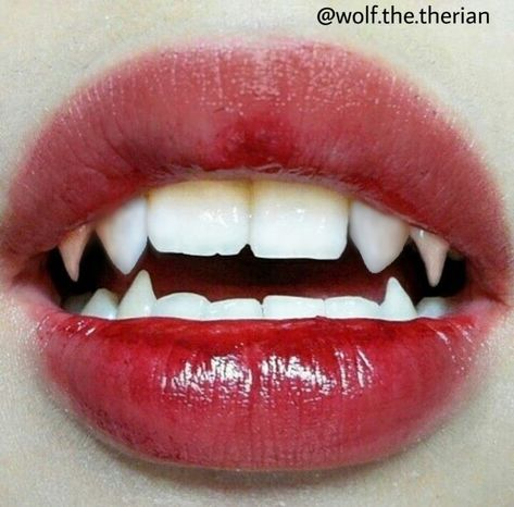 Edit By Wolfie BloodMoon Natural Fangs, Aesthetic Teeth, Vampire Fangs, Vampire Teeth, Vampire Academy, Vampire Slayer, Red Lipstick, Coloring Stickers, Character Aesthetic