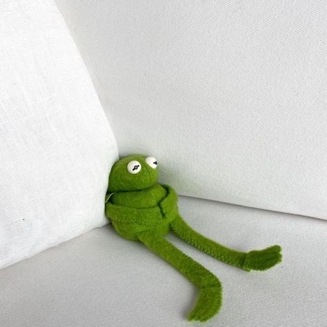 Kermit Reaction Pics, Kermit The Frog Funny, Kermit Memes, Kermit Meme, Image Meme, Kermit Funny, Funny Stickman, Frog Wallpaper, The Muppet Show