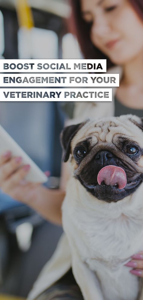 Veterinary Social Media Post Ideas, Vet Clinic Social Media Posts, Veterinary Social Media Posts, Veterinary Social Media, Veterinary Marketing, Ideas Negocios, Vet Life, Veterinary Day, Service Marketing