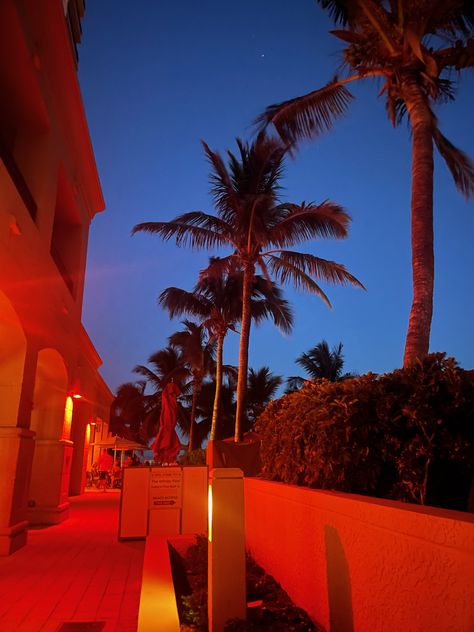 Red Tropical Wallpaper, Red Vacation Aesthetic, Red Beach Aesthetic, Red Skies Aesthetic, Night Views, Beach Red, Beach At Night, Dream Life House, Palm Trees Beach