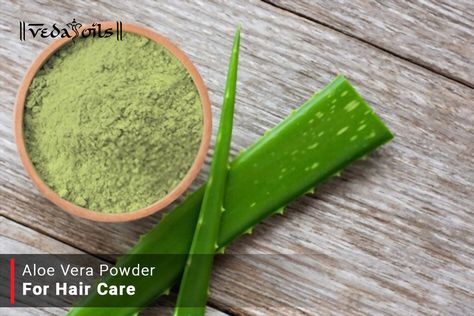 Aloe Vera powder is beneficial herb for your hair. It nourishes scalp & hair. Powder of aloe Vera contains all essential nutrient. This aloe Vera powder makes DIY easy. Try Aloe Vera Powder recipes for hair care regime. Homemade Calamine Lotion, Calamine Lotion, Aloe Vera Powder, Dusting Spray, Hair Powder, Powder Recipe, Diy Recipe, Raw Hair, Aloe Vera Leaf