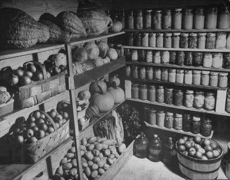 1910 root cellar.  (We still have one of these on my father's farm.) Root Cellar Storage, Storing Vegetables, Root Cellar, Cold Room, Cold Storage, Survival Prepping, Off Grid Living, Storage Room, Survival Tips