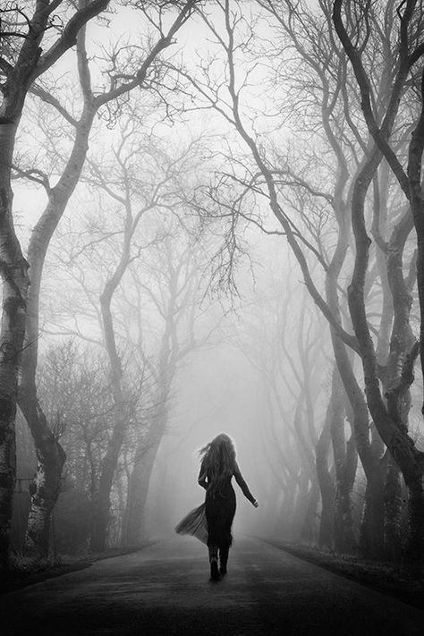 Fog Photography, Charcoal Painting, Charcoal Paint, Dark Landscape, Photo Noir, White Landscape, Black And White Landscape, White Woman, Charcoal Art