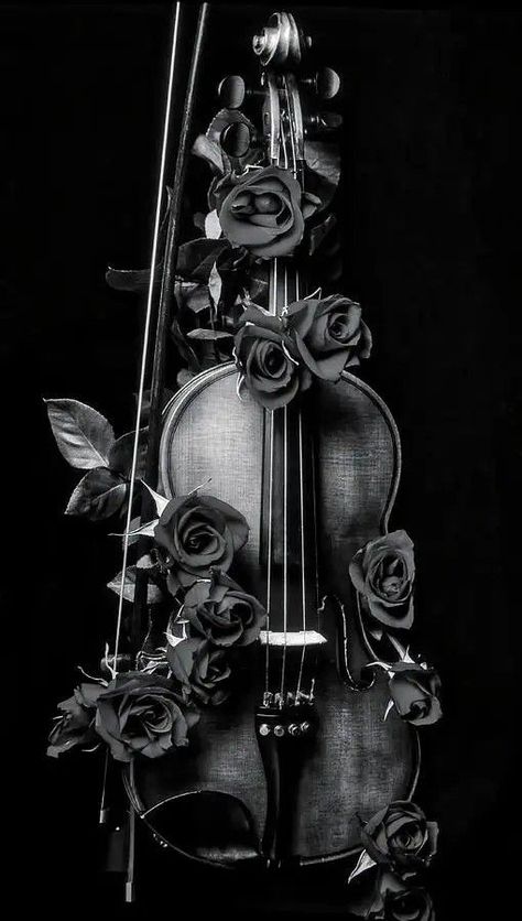 Violin Aesthetic, Violin, Valencia, Roses, Black And White, Instagram Photos, White, Black