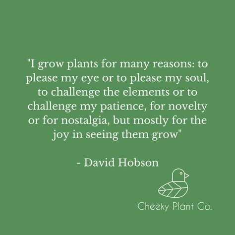 I grow plants for many reasons: to please my eye or to please my soul, to challenge the elements or to challenge my patience, for novelty or for nostalgia, but mostly for the joy in seeing them grow - David Hobson Herbal Business, Plant Humor, Plant Guy, Plant Jokes, Insta Status, Plant Quotes, Consciousness Quotes, Snarky Humor, Plant Puns