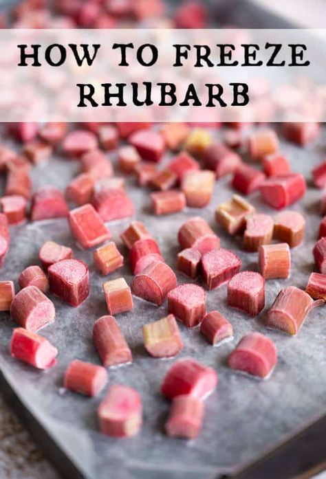 Can You Freeze Rhubarb, Freezing Rhubarb, Peach Rhubarb, Freeze Rhubarb, Rhubarb Crisp, Fresh Dishes, Rhubarb Cake, Rhubarb Recipes, Seasonal Recipes