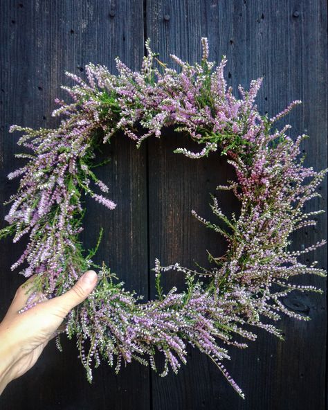 Canulla wreath Green Inspiration, Flower Decor, Garden Diy, Grapevine Wreath, Diy Garden, Grape Vines, Flower Decorations, Floral Wreath, Projects To Try