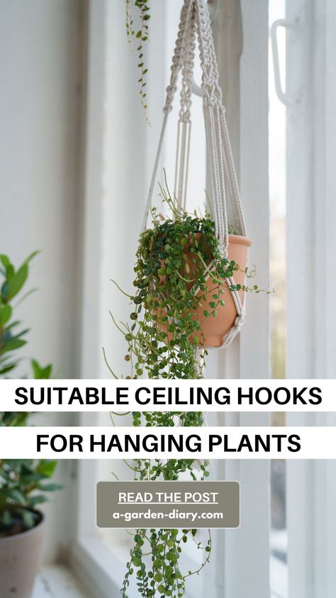 Elevate your indoor garden with the best "Suitable Ceiling Hooks for Hanging Plants." Discover sturdy, stylish hooks that blend seamlessly into your decor while providing strong support for your greenery. From minimalist designs to decorative options, find the perfect hooks to showcase your hanging plants beautifully. Transform your space with these essential accessories and enjoy the lush, vibrant atmosphere that only hanging plants can bring. How To Hang Plants From Ceiling, Hanging Plants From Ceiling, Plants From Ceiling, Hang Plants From Ceiling, Hooks For Hanging Plants, Hang Plants, Hanging Plants Outdoor, Succulent Bowls, Ceiling Types