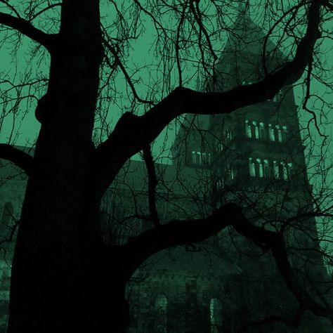 #slytherin #hogwarts #greenway #foryoupage #draco #dracoluciusmalfoy #slytherin #green #softgreen #pinterest #fyp #softaesthetic Dark Forest Aesthetic, Dark Fairycore, Draco Malfoy Aesthetic, Dark Green Aesthetic, Hogwarts Aesthetic, Slytherin Aesthetic, Aesthetic Colors, Dark Photography, Green Wallpaper