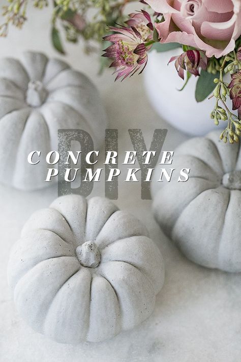 Thanksgiving Entertaining Ideas, Cement Pumpkins, Concrete Pumpkins, Fall Entertaining Ideas, Pumpkin Decorating Diy, Thanksgiving Entertaining, Cement Projects, Pumpkin Decorations, Diy Party Ideas