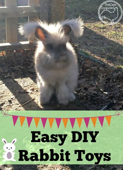 Backyard Rabbits, Diy Rabbit Toys, Homestead Rabbits, Meat Rabbits Breeds, Homemade Rabbit Toys, Homestead Livestock, Diy Bunny Toys, Raising Rabbits For Meat, Rabbit Stuff