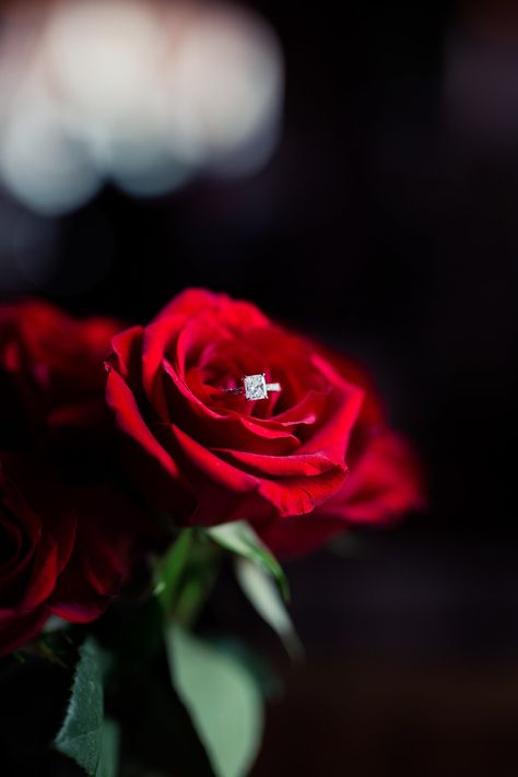 Engagement Ring Rose