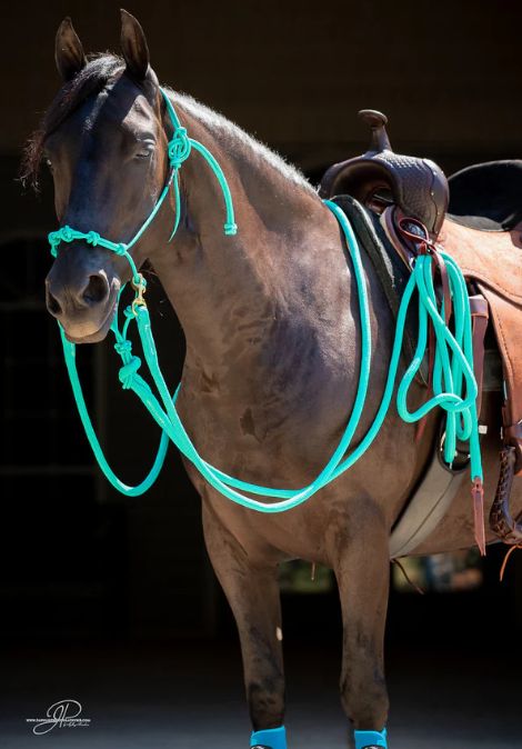 Take A Look At Our Tack And Training Aids That We Offer!  We have everything from MG Sports Boots, Biothane Driving Lines, MG Halter, Lead rope, Reins, Full Set, MG "Keister Holder" Saddle and much more!  Check Them Out Here➡️https://www.gethorsehelp.com/collections/tack-training-aids  P.S.-Looking To Enjoy Your Horse More? Comment Or Dm Us The Word "HELP" To Get Started!  #horsetraining #horse #trainer #horsetrainer #traininghorses #horses #horsehelp #horsetack #saddle Horse Reins, John Wayne Quotes, Horse Reining, Trick Riding, Western Stuff, Barrel Racing Tack, Natural Horsemanship, Free Horses, Western Horse Tack