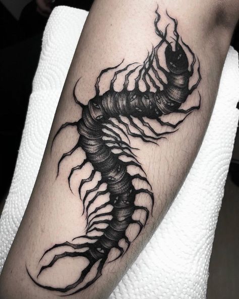 Dark Centipede Tattoo, Creepy Centipede Tattoo, Centipede Leg Tattoo, Centepide Tattoo Arm, Centapeid Tattoo Design, Cool Centipede, Millipede Tattoo, Traditional Centipede Tattoo, Tokyo Ghoul Centipede Tattoo