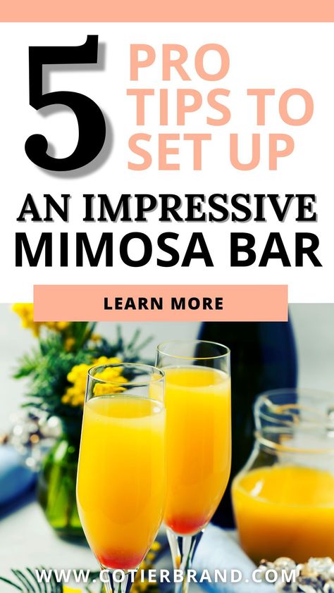 Wondering how to make a mimosa bar like a pro party stylist? Follow these four simple steps and you'll be well on your way to creating a beautiful set up. Diy Mimosa, Mimosa Party, Fruit Garnish, Brunch Bar, Ladies Brunch, Mimosa Recipe, Stemless Champagne Flutes, Couple Wedding Shower, Champagne Bar